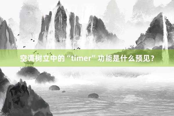 空调树立中的“timer”功能是什么预见？